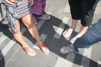 img_0005.jpg